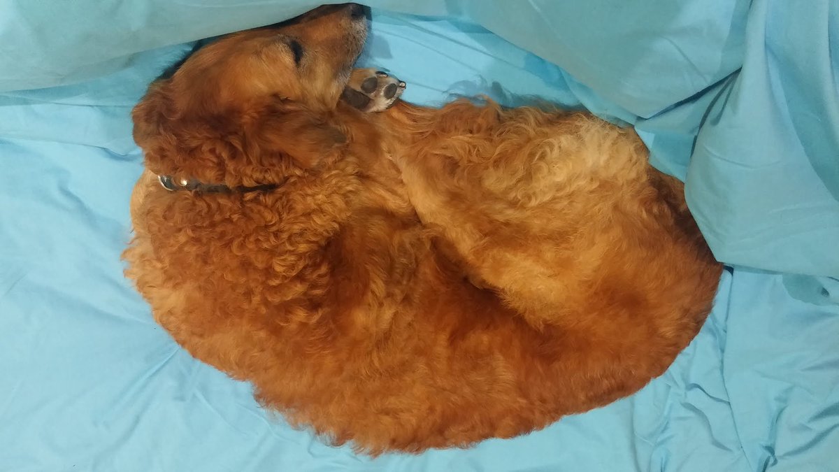 We've got our own private custom Firefox edition at home 😍