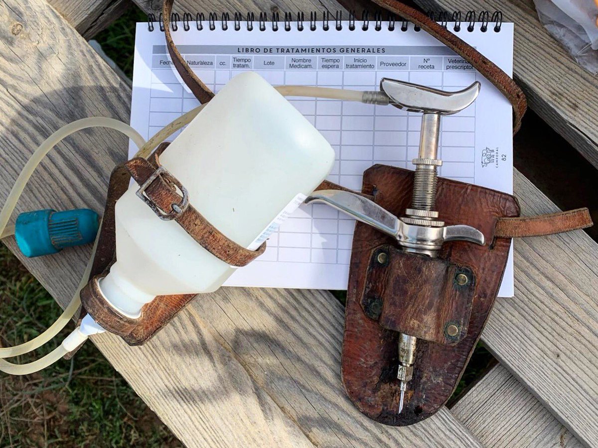 Todo listo para vacunar y anotar el libro de tratamientos. Si quieres el tuyo, puedes hacerlo aquí: camporal.com/producto/cuade…
