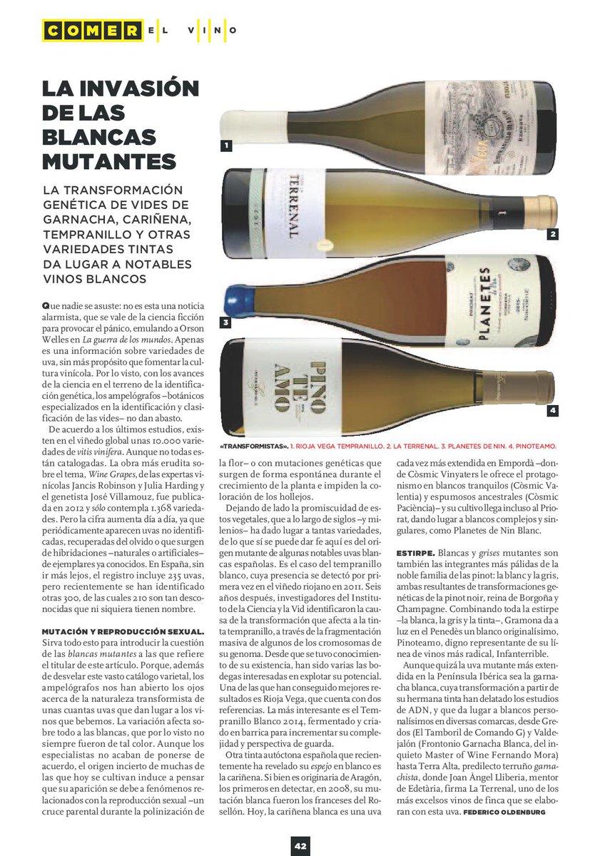 EdetariaCeller's tweet photo. "Uvas blancas mutantes"? Garnatxa blanca & La Terrenal protagonistes #gràcies #thanks #gracias @FedericoOldenbu @LunaMetropoli @elmundoes #begrenachy https://t.co/qnYp5i1QpH