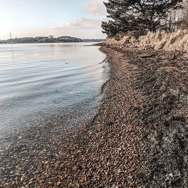 rosieoutlook's tweet photo. The walk from @saltcafe66 near Portchester yesterday morning. Beautiful crisp January morning. ❄️
•
•
[#chasinglight #curateyourownfeed #portchester #saltcafe #farehamcreek #fareham #hampshirewalks #hampshireblogger #sotonblogger #sotonbloggers #wint… https://t.co/6hsgoa2MWZ https://t.co/fz1sHaDYGi