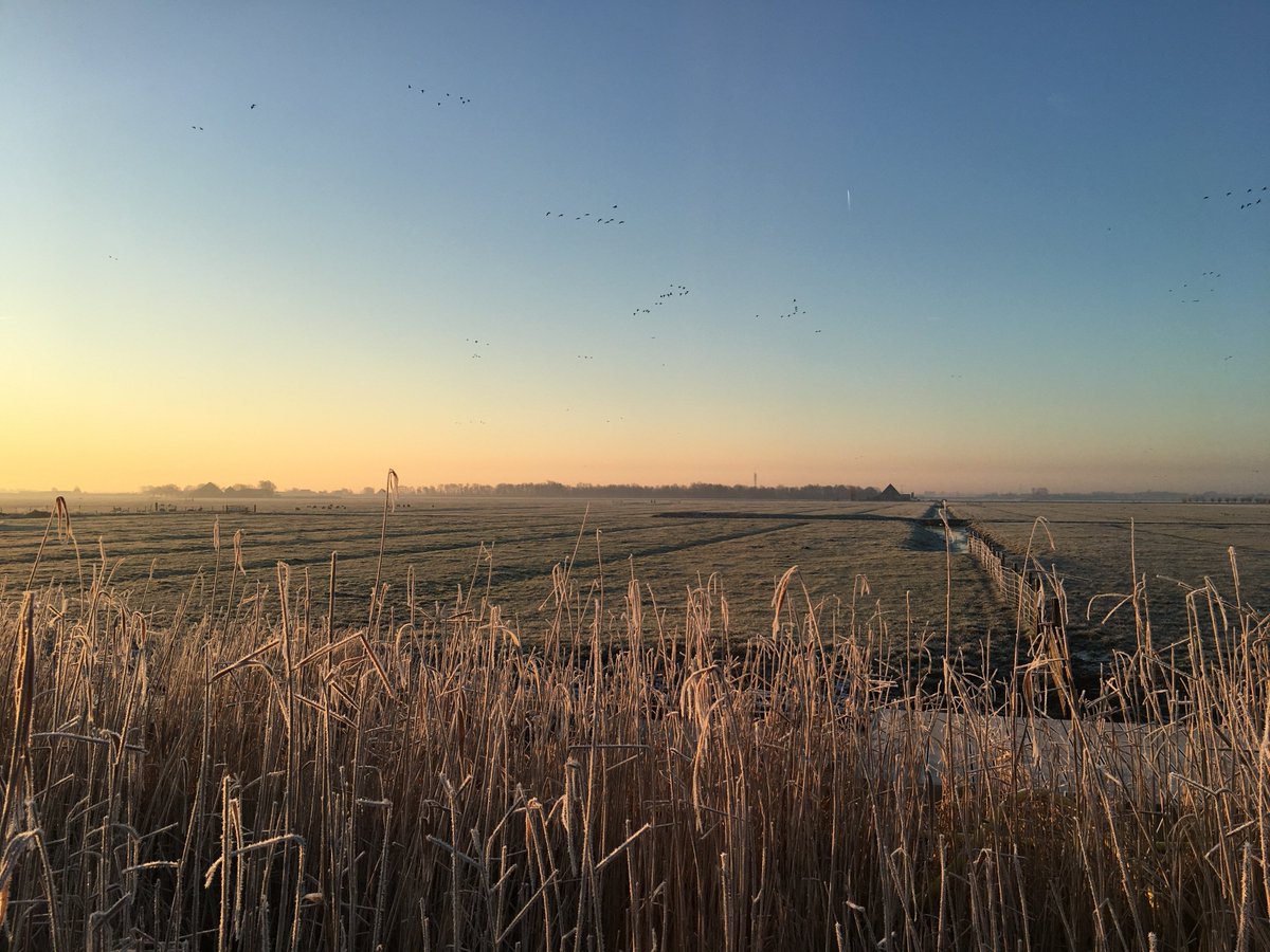 Geen Blue Monday op de Buitenwerkplaats! Wat een prachtig begin van de dag! #vergaderlocatie #trainingslocatie #buitenwerkplaats #nofilter