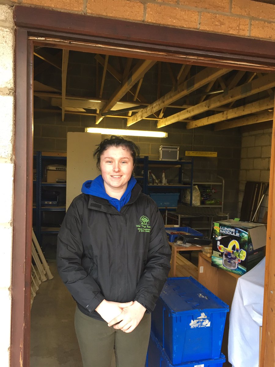 melvynprior's tweet photo. After 11.00 @BBCRadioLincs Lucy will be telling us about WILD @ThingsRescue They need your help setting up a wildlife rescue hospital. They’ve got a room, but it needs some work!! Could you help? https://t.co/dCL90dibPw https://t.co/SypXeVz4Wh