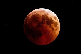 Happy Wolf Blood Moon Monday! We were up bright and early this morning to go to site so got to see the eclipse :) Ready for another busy week.