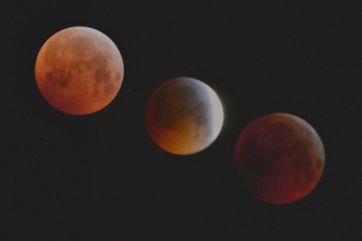 rdatoday's tweet photo. My early morning #superbloodwolfmoon #Brighton #uk ○ #January #Nightsky https://t.co/FvlocT58hj