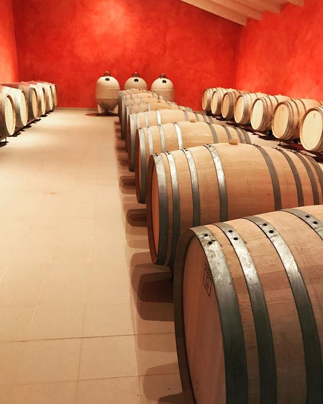 #lakegardawineconference #montonale #winery #grazie