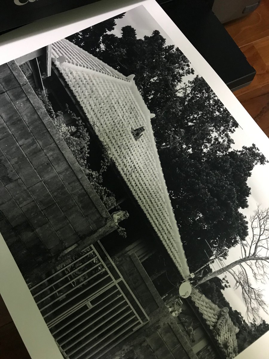 David_NaokoOrr's tweet image. A little printing this evening from a walk around Hamahiga Island this afternoon. 

#testprint #printing #okinawa