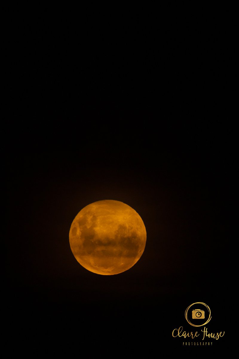Fist the #bloodmoon2019 shyly peaked through the dusky sunset clouds over #Whakatane, then....