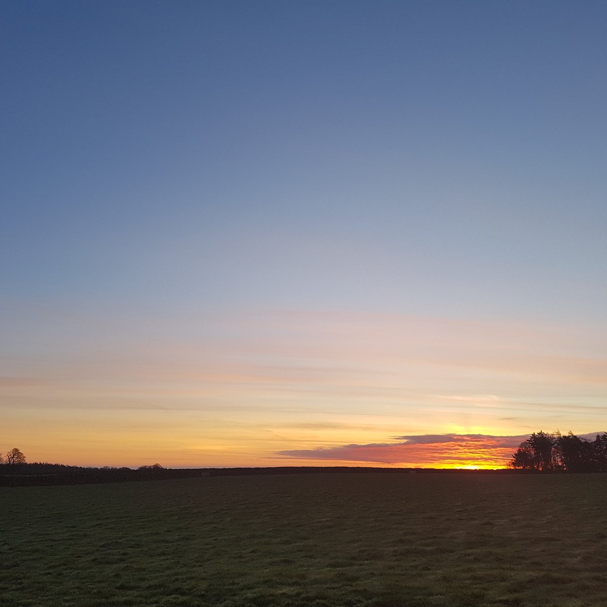 Good morning Nidderdale! Smashing sunrise over the marquee fields this morning! <a href="/LittleSeedField/">Little Seed Field</a> <a href="/nidderdaleuk/">Pateley & Nidderdale</a> @NidderdaleAONB
