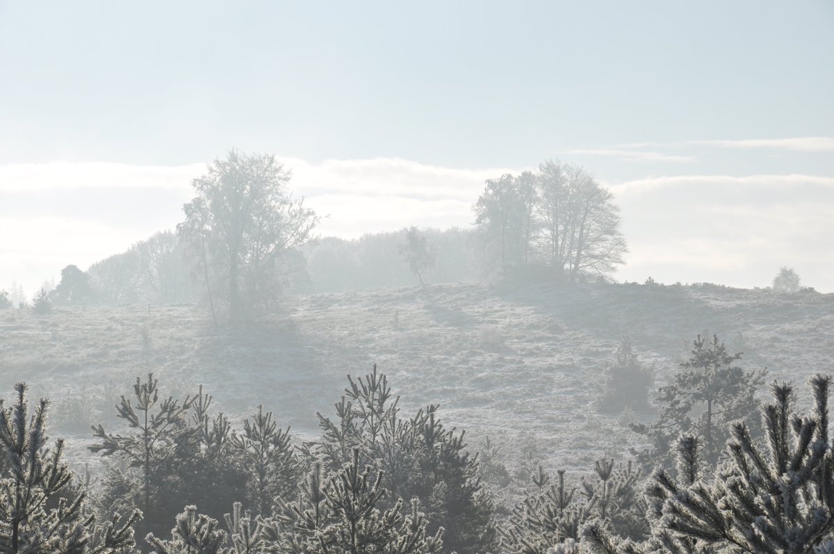 De tijd is "rijp" voor een geweldige wandeling door het glazig ogend landschap van de Sallandse Heuvelrug.
Koud maar betoverend mooi.