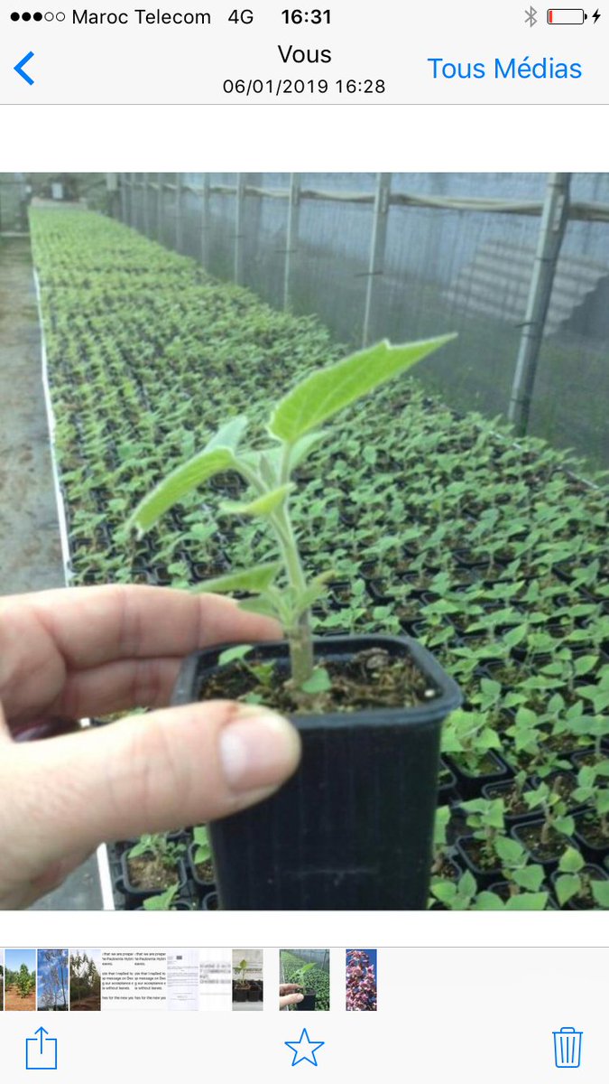 SMAFEC SARL (@smafec_sarl) on Twitter photo 