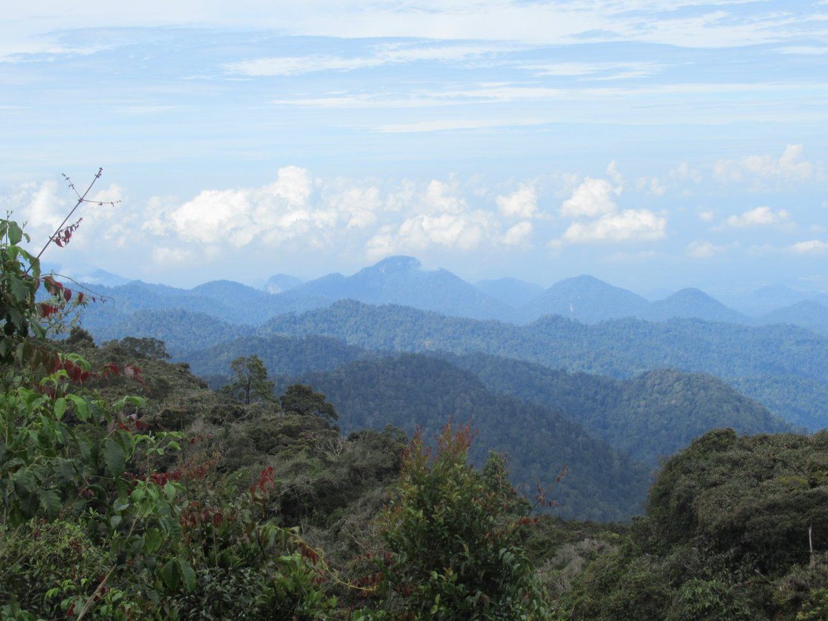 Our adventurer Jake Johnson has cycled almost the whole length of Malaysia but there's still thousands of km to get back to the UK. He's doing this for <a href="/Newlifecharity/">Newlife the Charity</a> to change children's lives and you can sponsor him at justgiving.com/fundraising/cy…