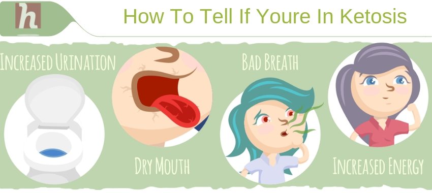 HealthMagReview's tweet image. #HealthMag #HealthReviews #Ketosis #KetoDiet

healthmagreviews.com/how-to-tell-if…