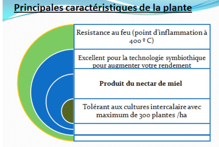 SMAFEC SARL (@smafec_sarl) on Twitter photo 