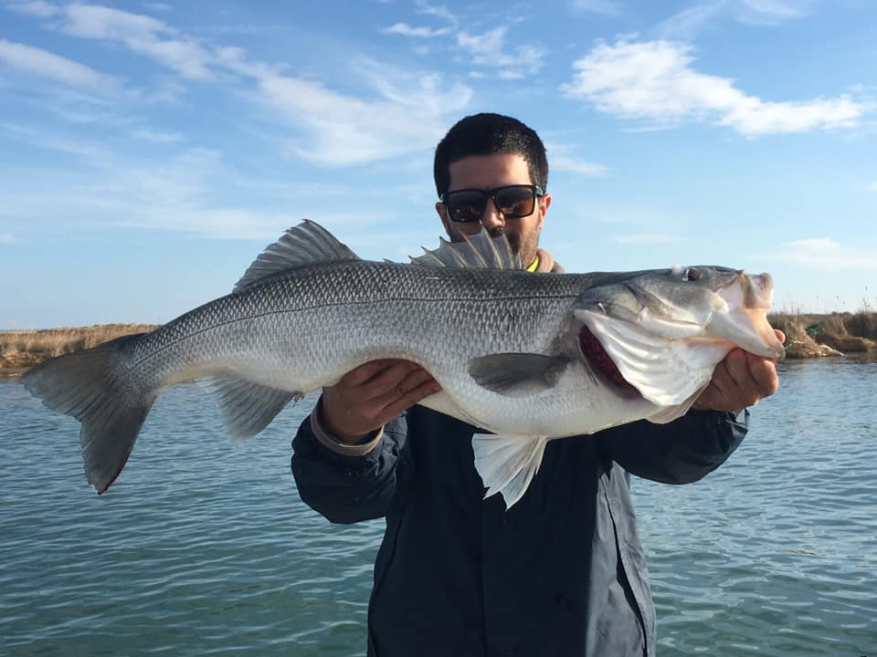 Este año el #Delta nos esta sorprendiendo con #lubinas enormes , no te lo puedes perder ... #Deltebre #Deltaebro #Pesca
pescaebro.com