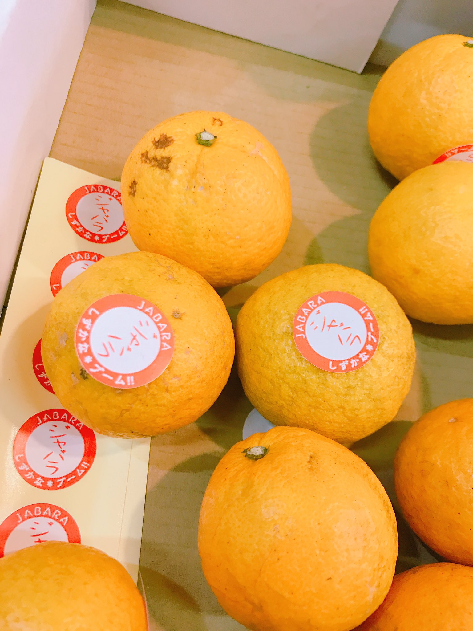 まえだ家 花粉症に効く第2弾 ジャバラ じゃばら 独特な香りの柑橘系 どんな 僕的には 春菊 しゅんぎく はいっ 菊菜ですっ ちょっと青っぽい香り むっちゃ好きです ジャバラ酎ハイ スッキリ香り良しっ