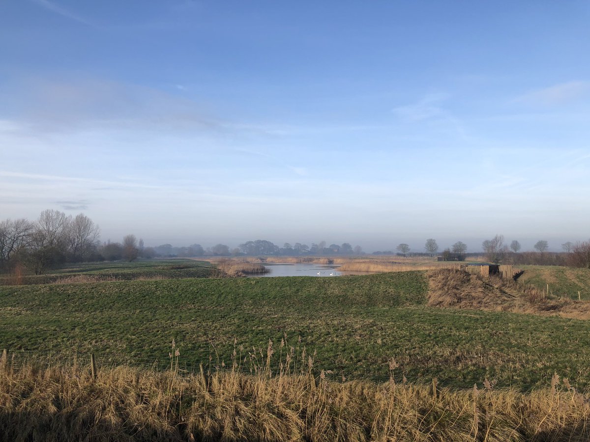 AH_Worth's tweet photo. #wildlife #wetland @LEAF_Farming https://t.co/yYkuG3u5FB