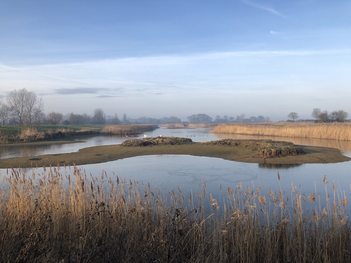 AH_Worth's tweet photo. #wildlife #wetland @LEAF_Farming https://t.co/yYkuG3u5FB