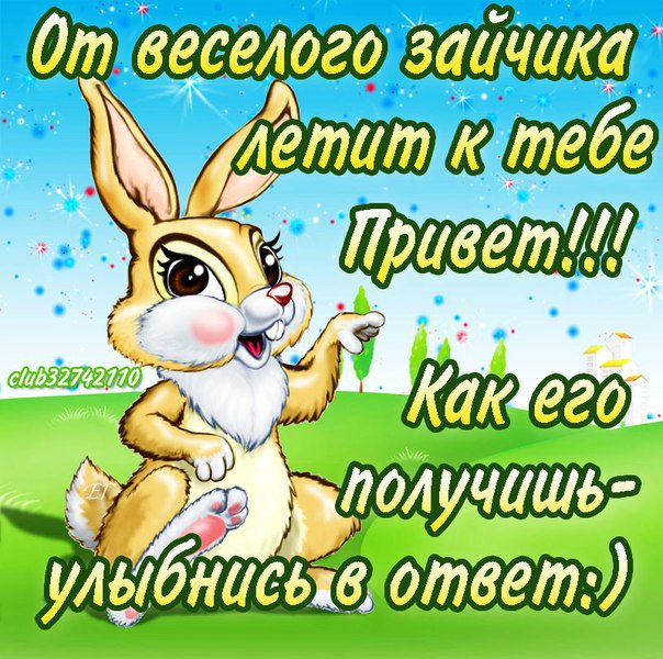 Открытка, от зайки привет открытки