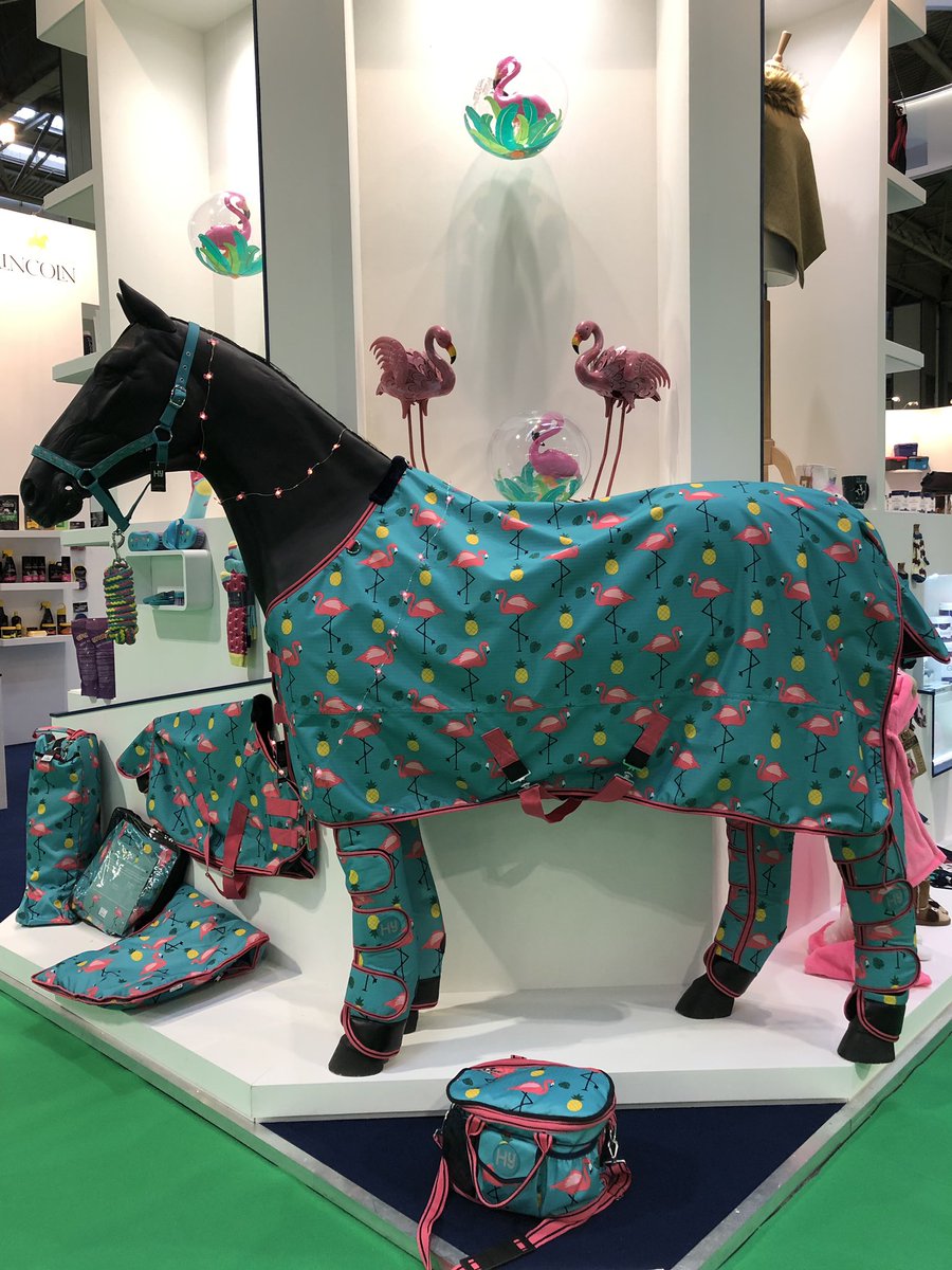 greenwellys's tweet photo. A lovely blend of quality heritage @HouseofCheviot and modern British, European and global equestrian brands at #BETAint19 (and the @horseandhound boyband!) - looking forward to speaking about driving sales with #socialmedia advertising today. 🐎 https://t.co/376DL27WW9