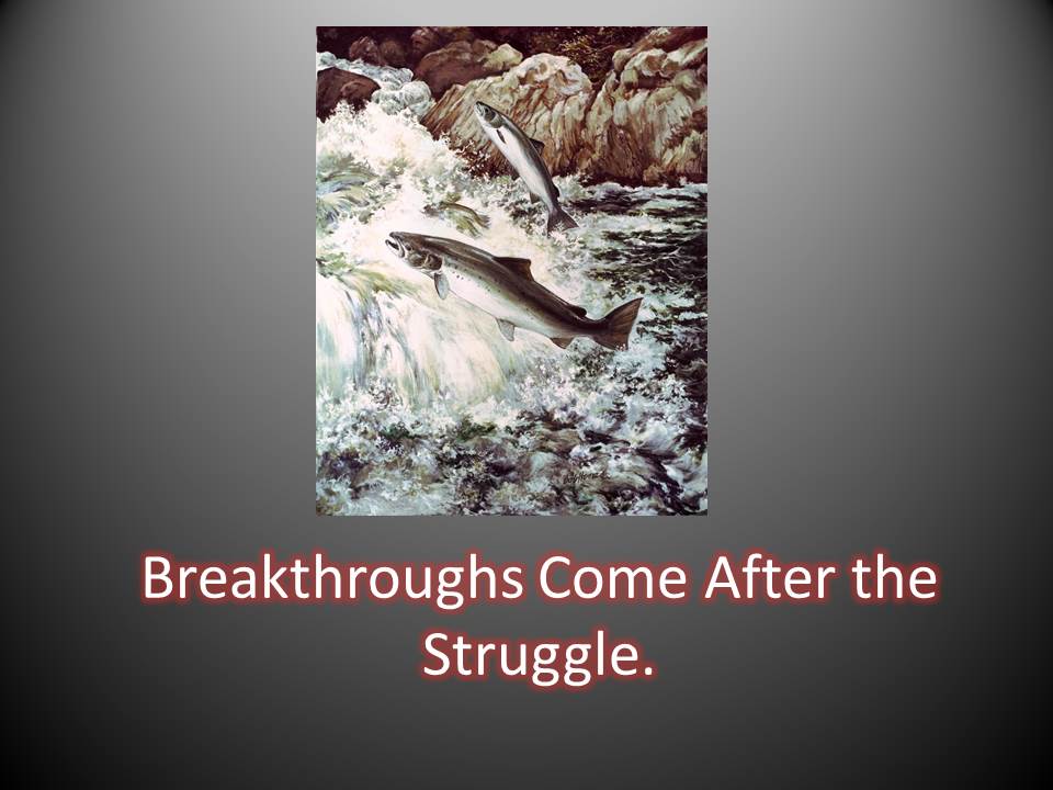 aleen_traci's tweet image. Amazing #Breakthroughs Come After Struggle...#Joshua14, #NapoleanHill Read more: tracisworld.com/2019/01/reachi…