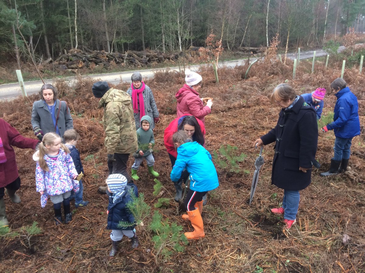 The Estate's Forestry team welcomed members of the Reading Liberal Jewish Community to plant trees in celebration of Tu BiShvat “New Year of the Trees” this annual event has been taking place on the Estate for over 10 years <a href="/ReadingLJC/">RLJC</a> #community #forestry #trees