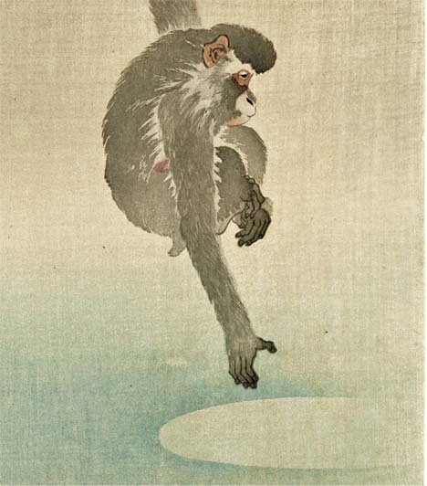 太田記念美術館 Ota Memorial Museum Of Art En Twitter 本日1 21の夜は スーパームーン 美しい月を見ると手を伸ばしたくなるのは 手長猿たちも同じようです 水面に映る満月を手に取ろうとする子猿 親猿がしっかりと手をつかんであげています 原宿の太田記念