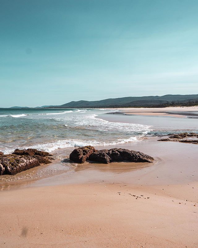 Hari ini lagi mau bersih2 follower. Maaf yaaa kalo di remove 😵🙏 Byk bgt akun kyk jualan gitu, ku baru sadar. Ayam geprek lah, hijab lah, skincare lah, kue lah, dll, dan tentu saja pemutih peninggi pelangsing 🙄
-
Ku ingin followernya orang beneran (at… bit.ly/2FCVmoR