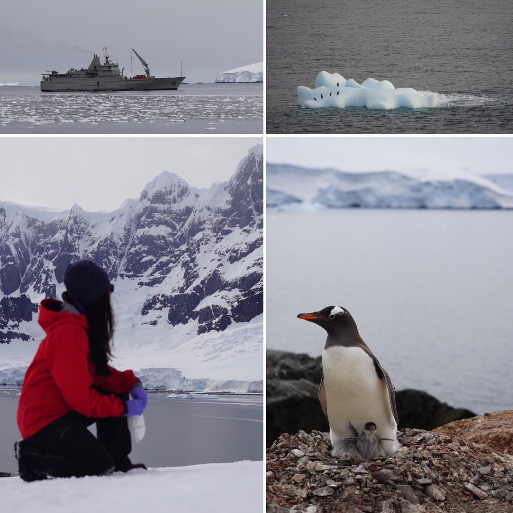Alia (@alialaurenkhan) on Twitter photo Icebergs and penguins scatter the horizon while we cruise between sampling locations in the Antarctic Peninsula region. @fulbright_cl <a href="/CIRESnews/">CIRES</a> <a href="/nsidc/">National Snow and Ice Data Center</a> <a href="/AntClim21/">Antarctic Climate Change in the 21st Century</a> Icebergs and penguins scatter the horizon while we cruise between sampling locations in the Antarctic Peninsula region. @fulbright_cl <a href="/CIRESnews/">CIRES</a> <a href="/nsidc/">National Snow and Ice Data Center</a> <a href="/AntClim21/">Antarctic Climate Change in the 21st Century</a>