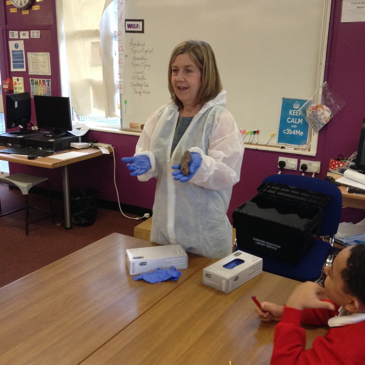 TheWilmAcad's tweet photo. The one where the Year 6 children examined real life ROMAN POO. #memorableexperiences #IPEELL #motivationtowrite #expertwriters https://t.co/Z14b5UjudZ