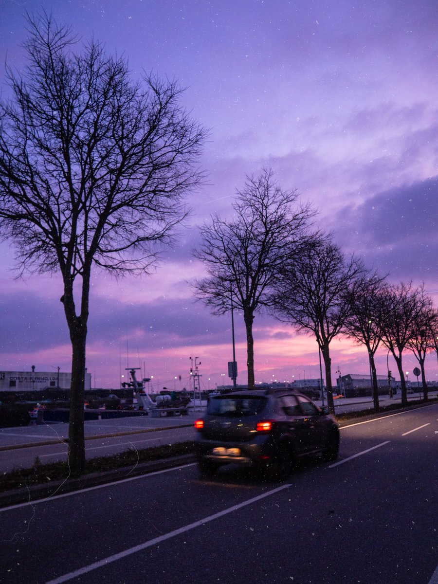 sweetsweetrodri tweet media