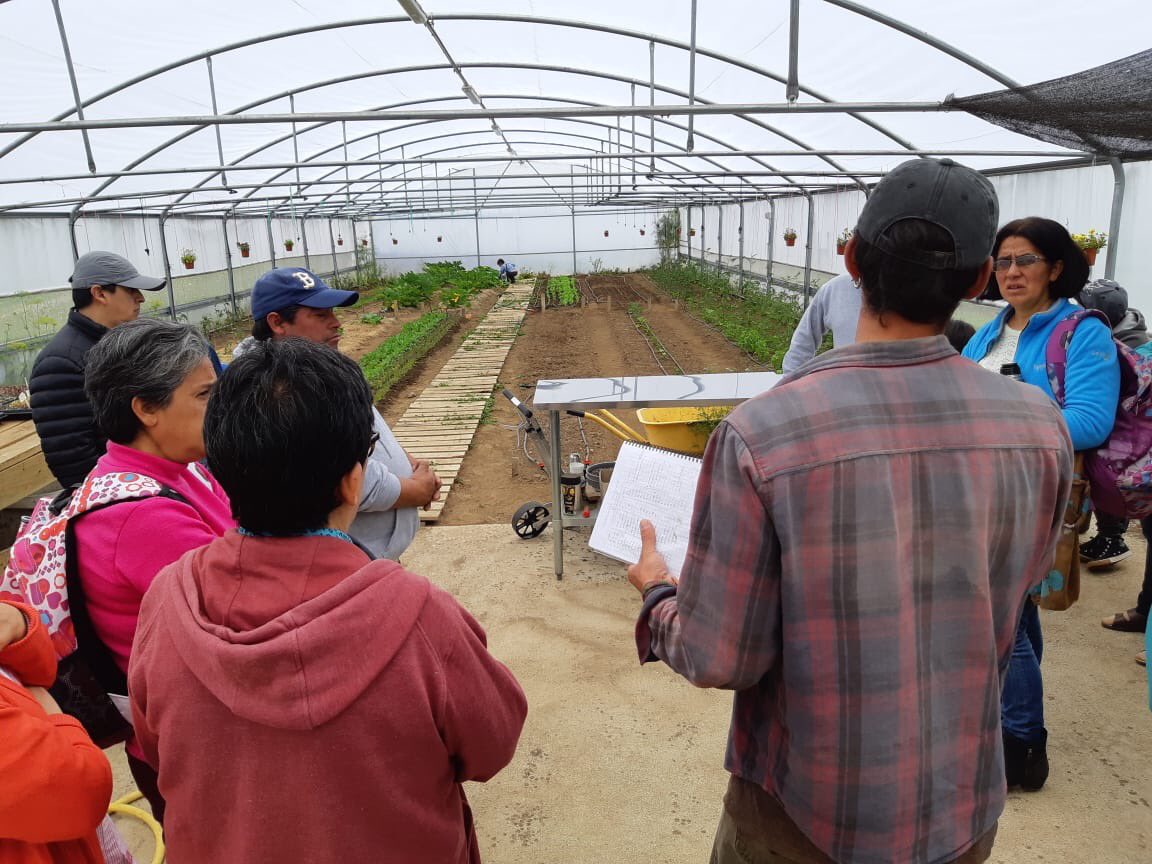 superacionpobrezaloslagos tweet media