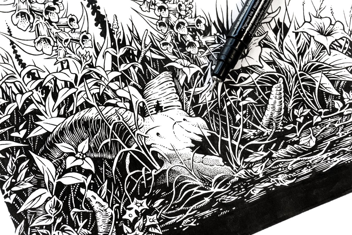 skurktur's tweet photo. Digitalis / Capra - Ink on paper.
·
#skurktur #illustration #inkart #penandink #inkonpaper #inkdrawing #blackandwhite #process #touchliner #poster #gigposter #goatskull #horns #capra #digitalis #weeds #blackmetalartwork #dwef #derwegeinerfreiheit https://t.co/c3omiW38ub