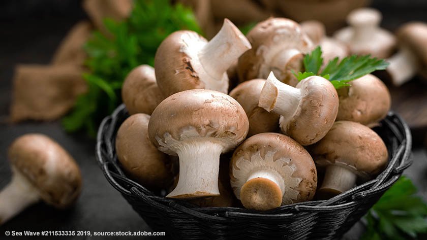 EU Science & Innovation 🇪🇺 tweet media