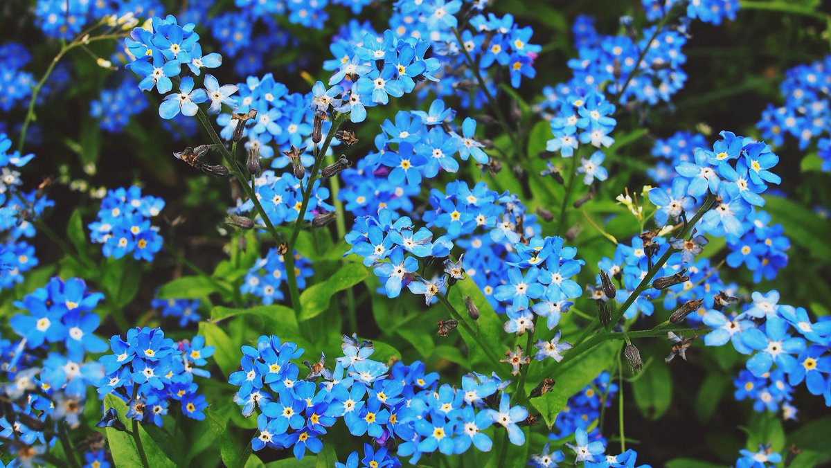 ukfundraising's tweet photo. Our half-day bereavement training course for fundraisers by @kevinkibble is again fully booked. Sign up four daily/weekly updates from @ukfundraising to hear about future dates for this and other training courses. #inmem #hospicefundraising https://t.co/T9WJekARBT