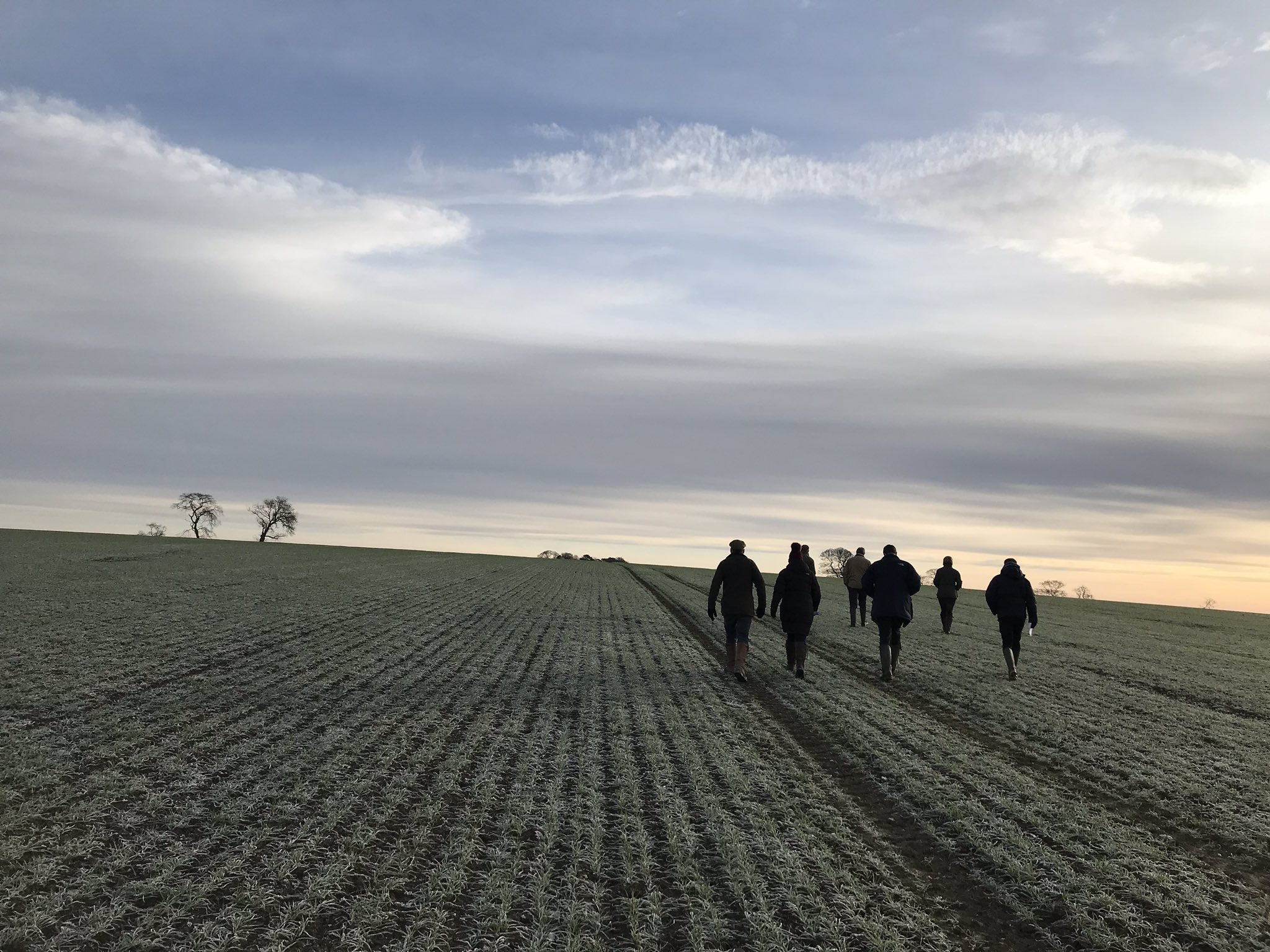 Strutt & Parker Morpeth on Twitter "It’s been a morning here