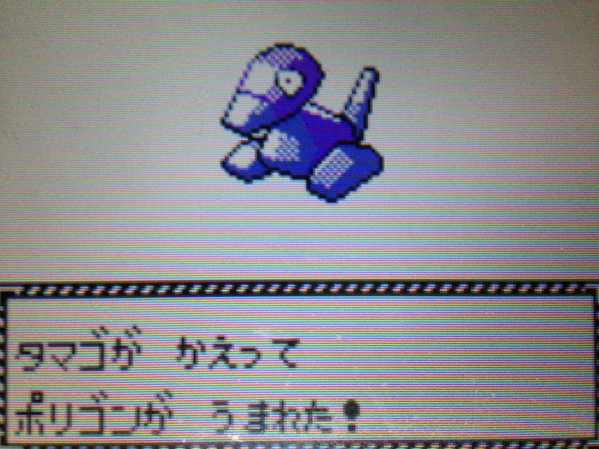 ポケモン金銀vc Twitter Search Twitter