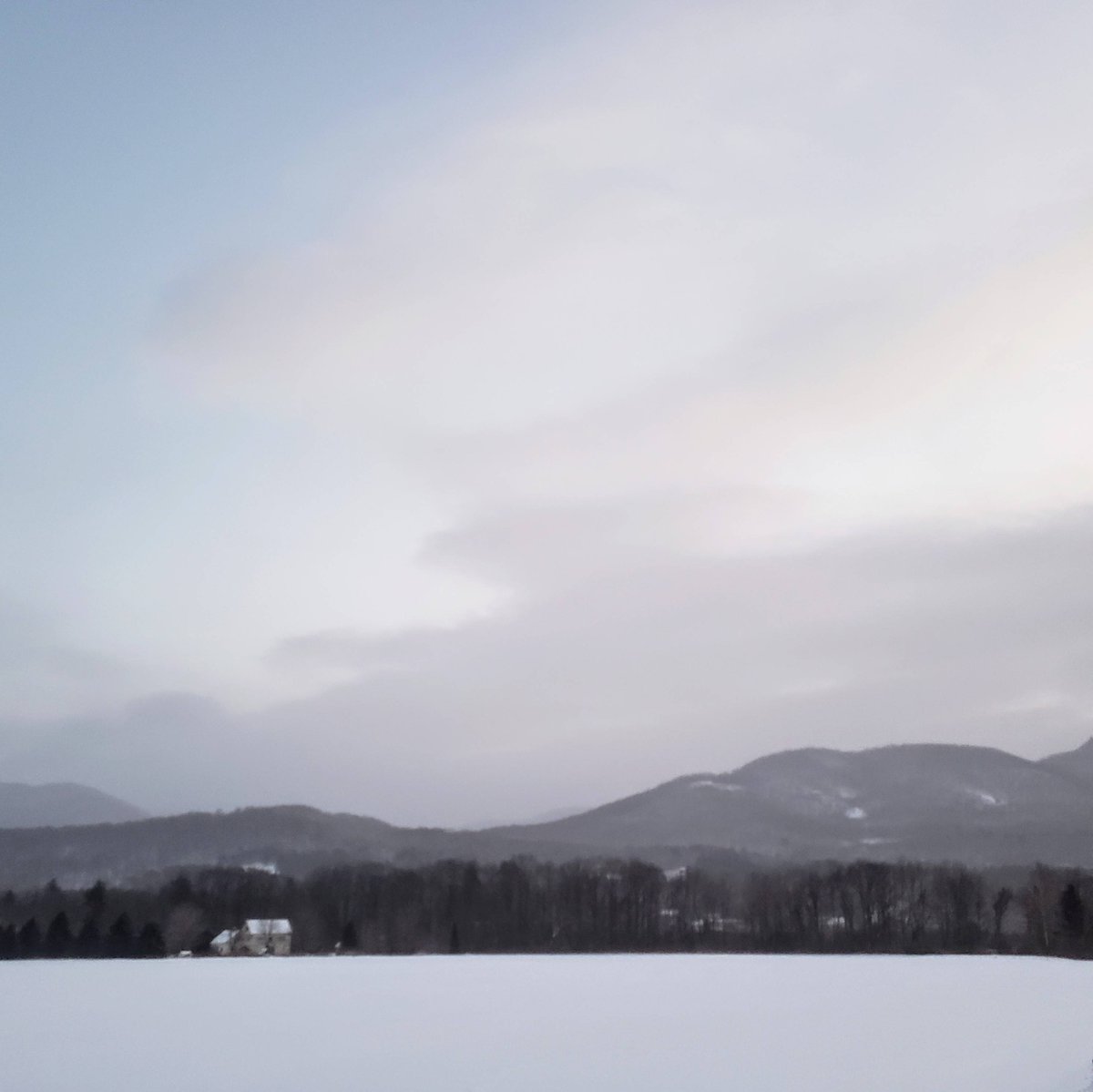 The Marble West Inn tweet media