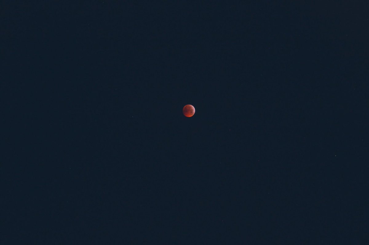 a (⁠๑⁠¯-¯⁠๑⁠) l e tweet media