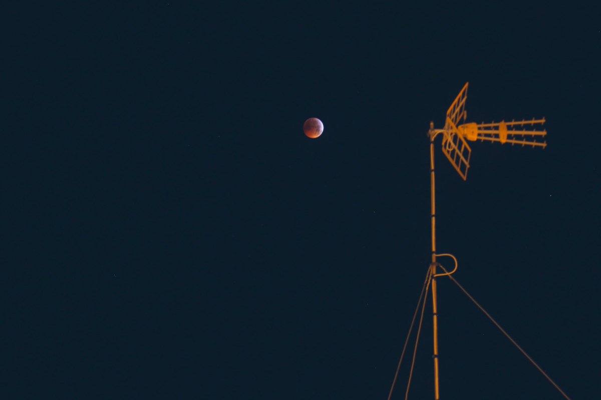 a (⁠๑⁠¯-¯⁠๑⁠) l e tweet media