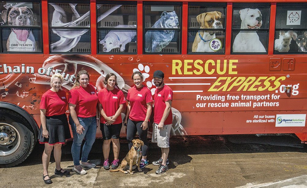 Successfully transporting adoptable animals from high-kill shelters to forever homes is the mission of Rescue Express. Karen Vazquez shares the non-profit’s history and rescue record. bit.ly/2seLCZr <a href="/Cecilyk/">Cecily Kellogg</a> #interview #petprofessionals #pets