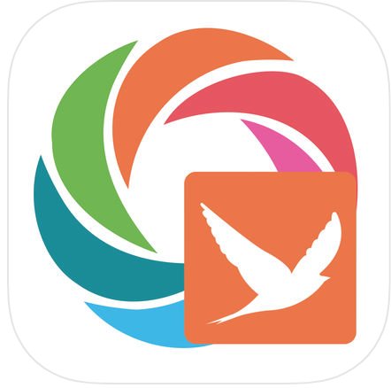AppEdReview's tweet photo. Bring some coding into your classroom with the easy-to-use Learn to Code with Swift #iOS #app from @SoloLearn! To learn more about the app and ways to use it in your classroom, check out our review, https://t.co/HwnwVDZNLo #AppEd #EdTech #CodeIt #NoFearCoding https://t.co/T0VVGqRxAB