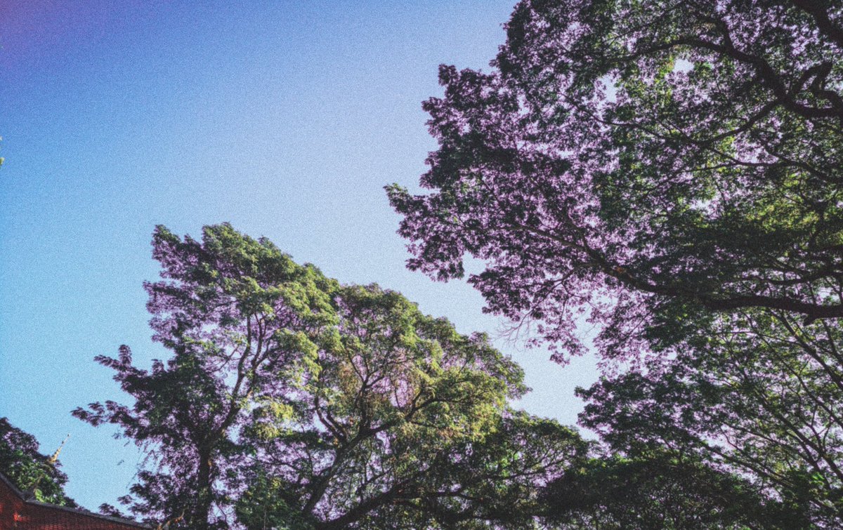 Tent​ 🦄 tweet media