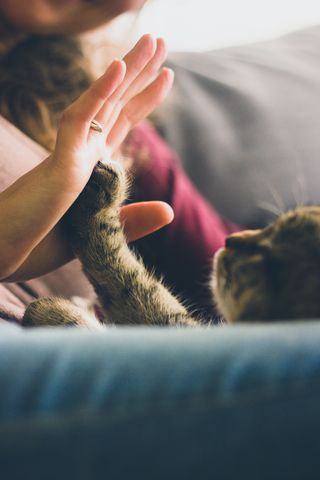 Here's research that explains the power of pets and human healing, from Psychology Today. #employeebenefits #wellbeing
ow.ly/ERdB30n7Xsp