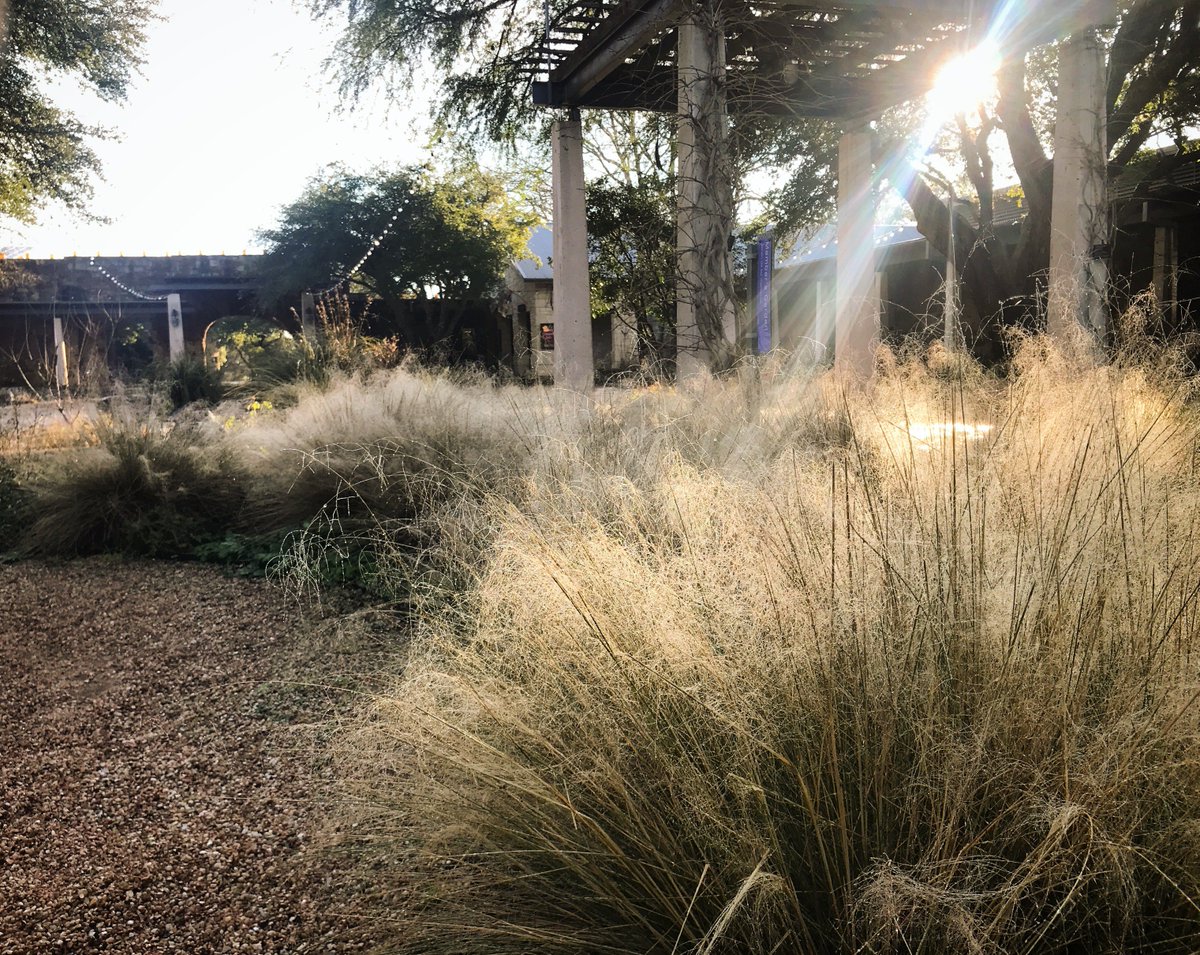 A garden is a peaceful, patient place where many things can grow — perhaps, most of all, our hearts.