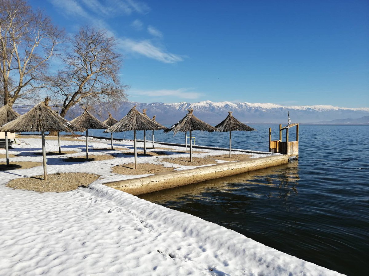 МЕД/MES tweet media