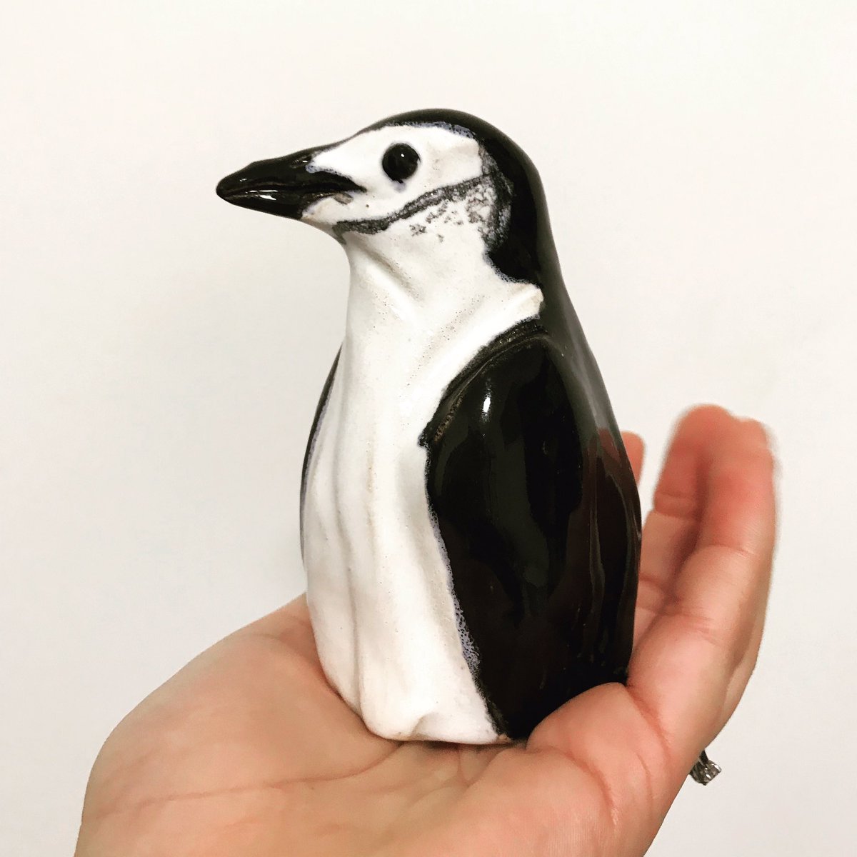 Sculptoria's tweet photo. Finished Chinstrap 🐧🖤 watch this space for Etsy updates :) #colchesterart #ceramics #pottery #handmade https://t.co/StUAEotLht