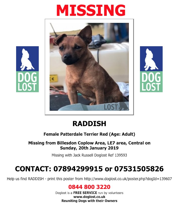 DogLostUK's tweet photo. https://t.co/jt1sXwNKjV  
#LOST  #DOG  RADDISH
*MISSING WITH DARCY*
Female #Patterdale #Terrier
#Billesdon #Coplow #LE7 
Sunday, 20th January 2019   #LostDog  
https://t.co/vqsMPZHEed  @VetsGetScanning @SAMPAuk_ https://t.co/iO8MBpVrzW
