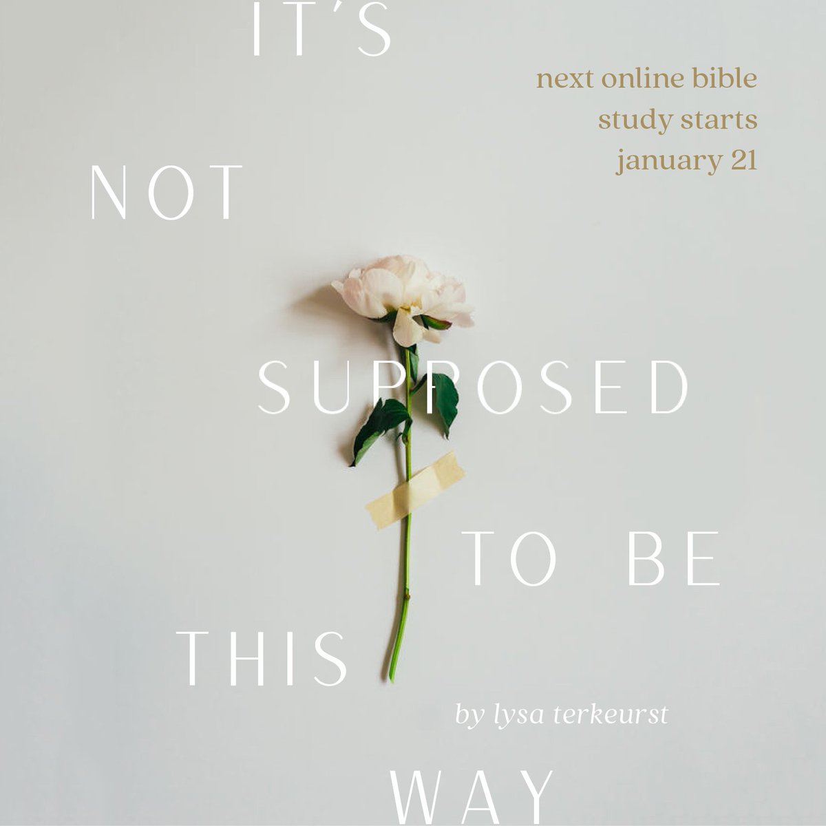 LysaTerKeurst tweet picture