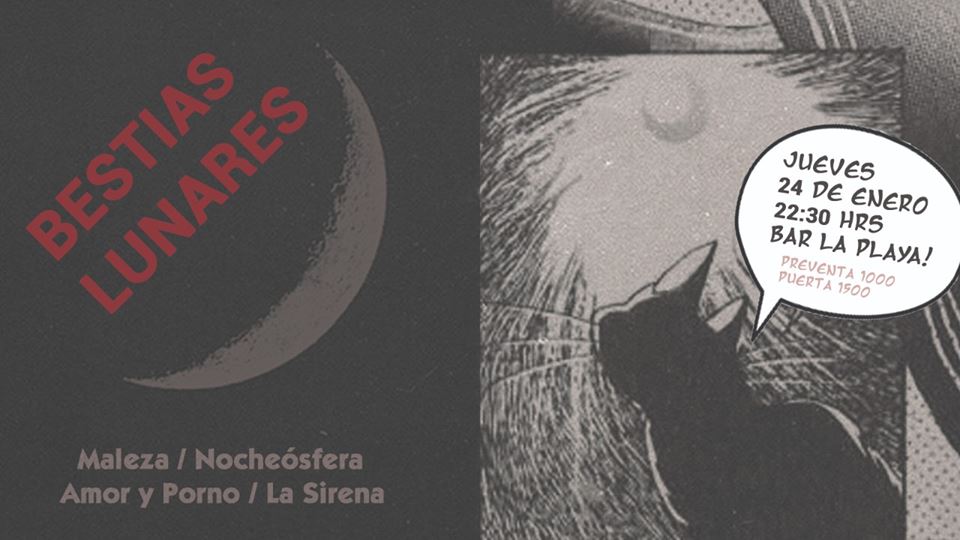 twitsessions's tweet photo. Este Jueves en el Bar La Playa se llevará a cabo el evento #BestiasLunares que contará con Amor y Porno, @nocheosferacl,  La Sirera y Maleza → https://t.co/dp2FuevDK9 https://t.co/XFKERXQvR7