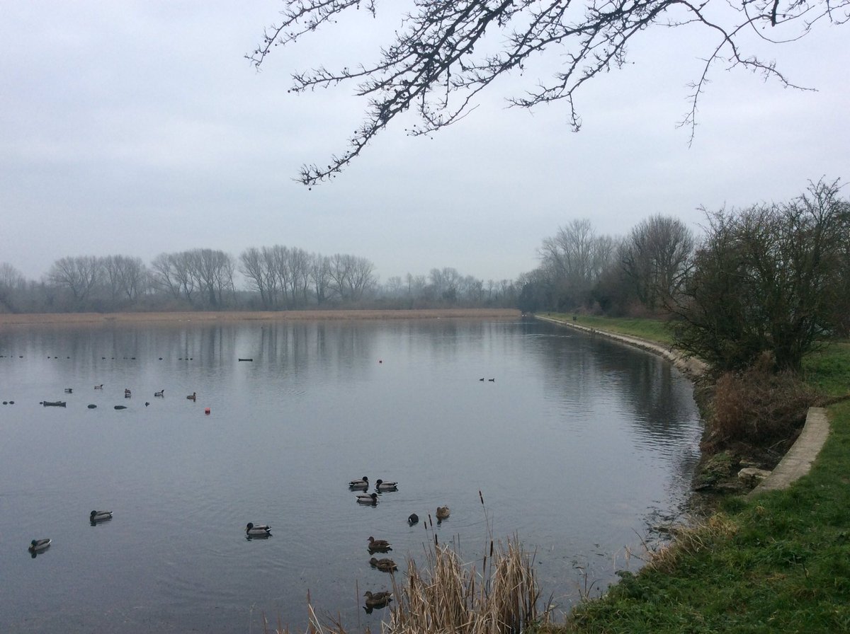 CRTinspectTom's tweet photo. Today at #Marsworth #Tringford #Startops #reservoirs

 #GrandUnionCanal

#canalrivertrust #canals #waterways #winter #tring 

#lifesbetterbywater Peace &amp; calm for your own #Wellbeing https://t.co/uvhiVWL0N8